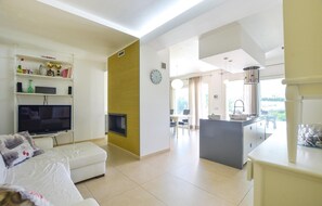 TV, fireplace