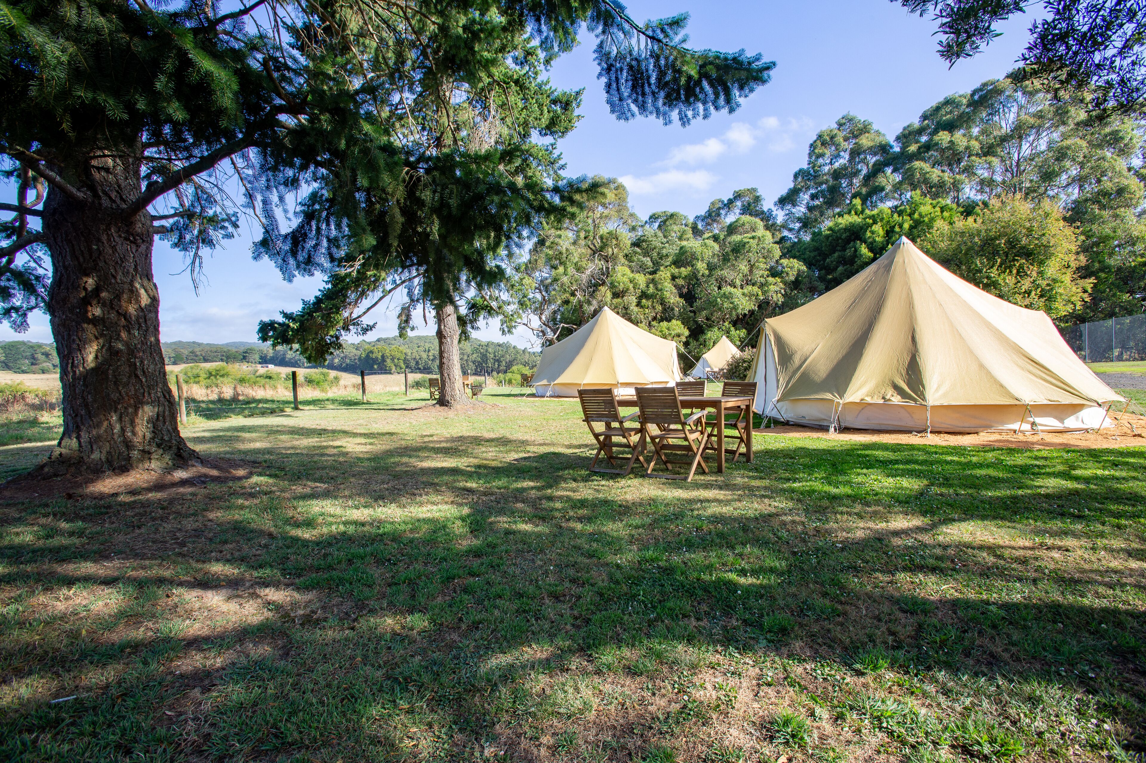 Two tents with tables and chairs in a grassy area with trees.