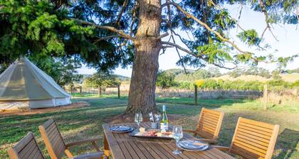 Forrest Holiday Park