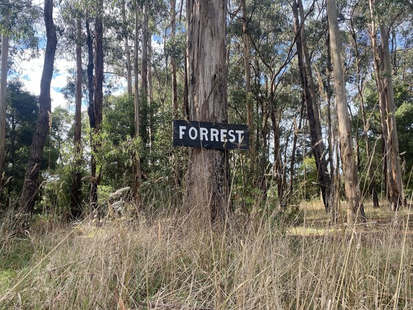 A sign labeled "FORREST" in a natural setting with tall trees and dry grass. - Forrest Holiday Park (Forrest)