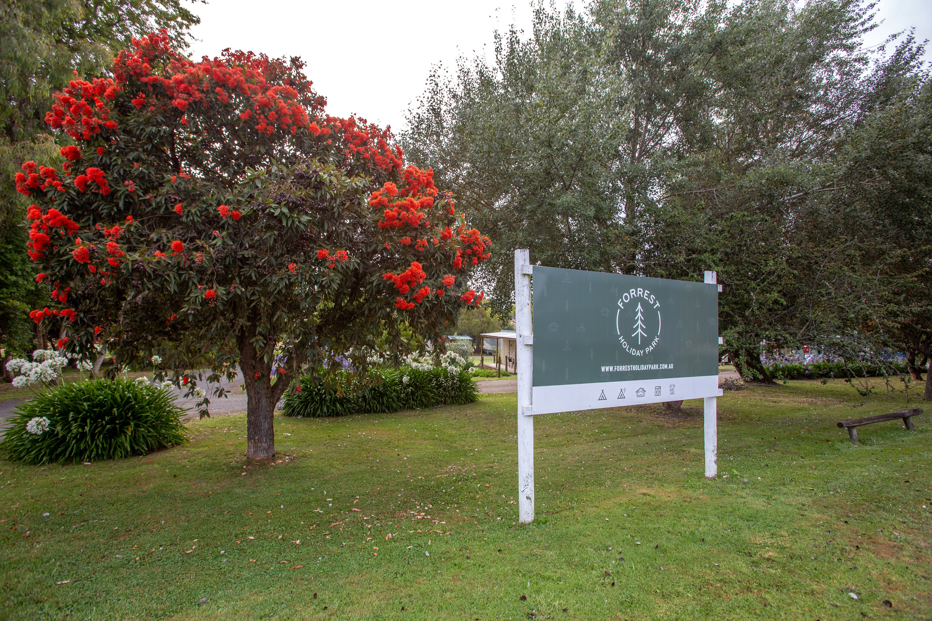 Un cartel con el texto 'FORREST HOLIDAY PARK' y una dirección web.
