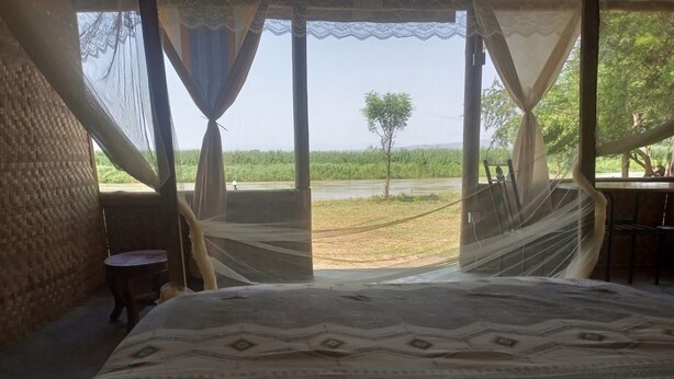 A room with a bed, a small table, and a view of a grassy field through sheer curtains. - Semliki Fishing River Camp (Bweramule)