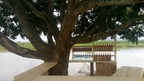 A wooden structure with a bench under a tree, a signboard with bottles, and a body of water in the background. - Semliki Fishing River Camp (Bweramule)