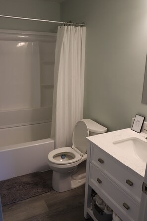 Secadora de cabello, toallas, shampoo, papel de baño 