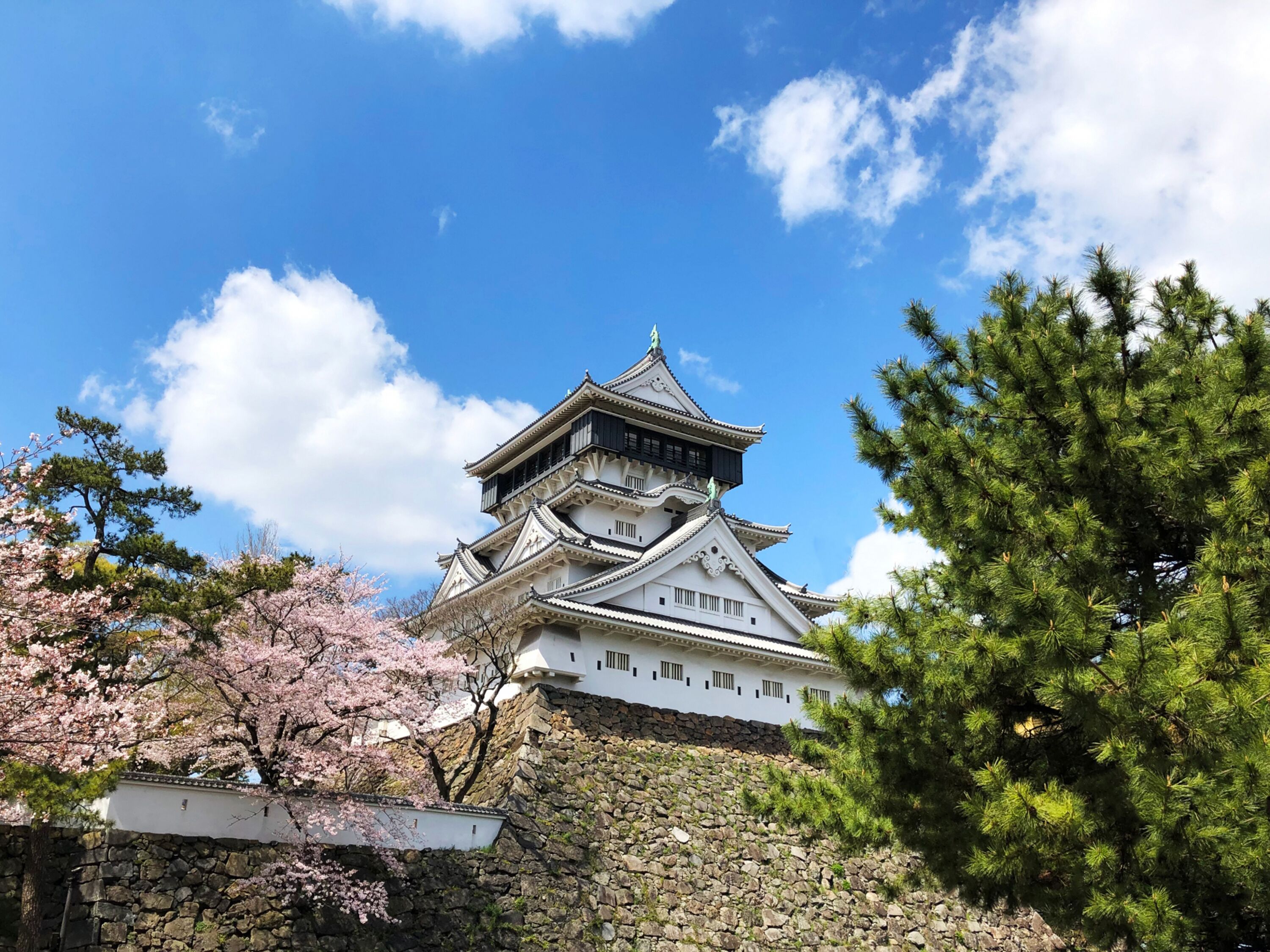 Un castillo japonés tradicional con varios niveles, muros de piedra y cerezos en primer plano.