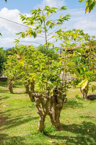 Healing 3-Bed Retreat - Sleeps 4, Hot Tub & Pool