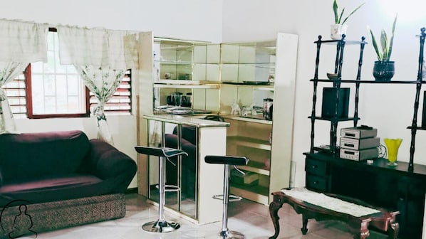 A compact living space with a sofa, a small bar area, and a shelving unit with plants.