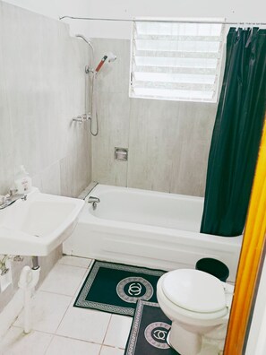 Shower, hair dryer, towels