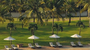 Een zwembadterras met ligbedden en parasols, omringd door palmbomen.