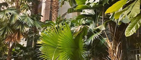 Voorkant van accommodatie