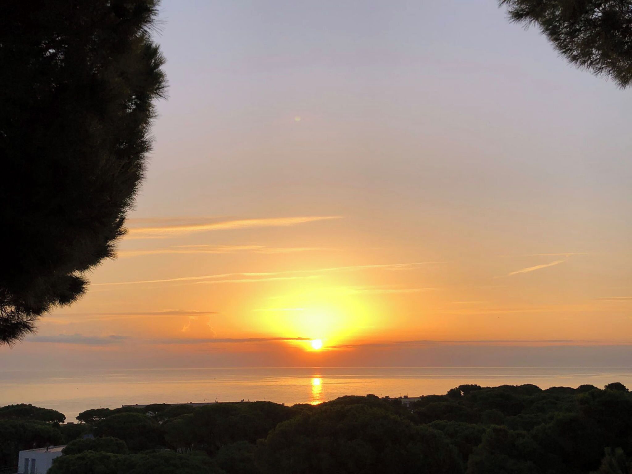 Solnedgang over et vandareal med træer i forgrunden.