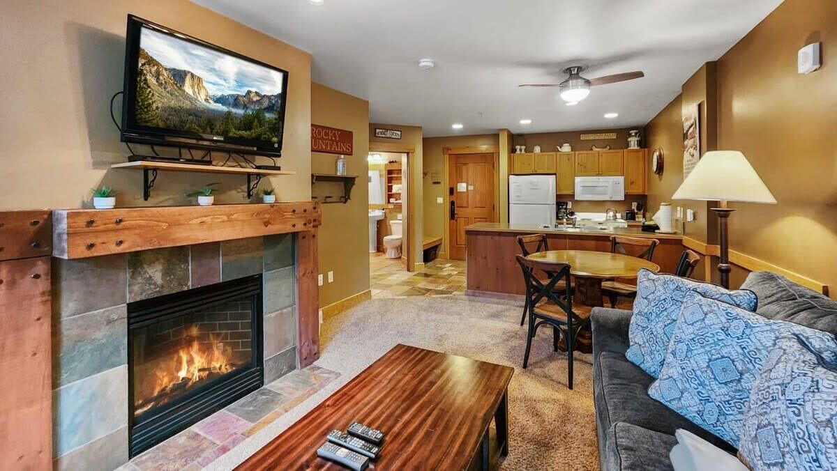 TV, fireplace, DVD player, books