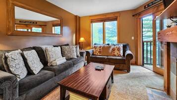 TV, fireplace, DVD player, books
