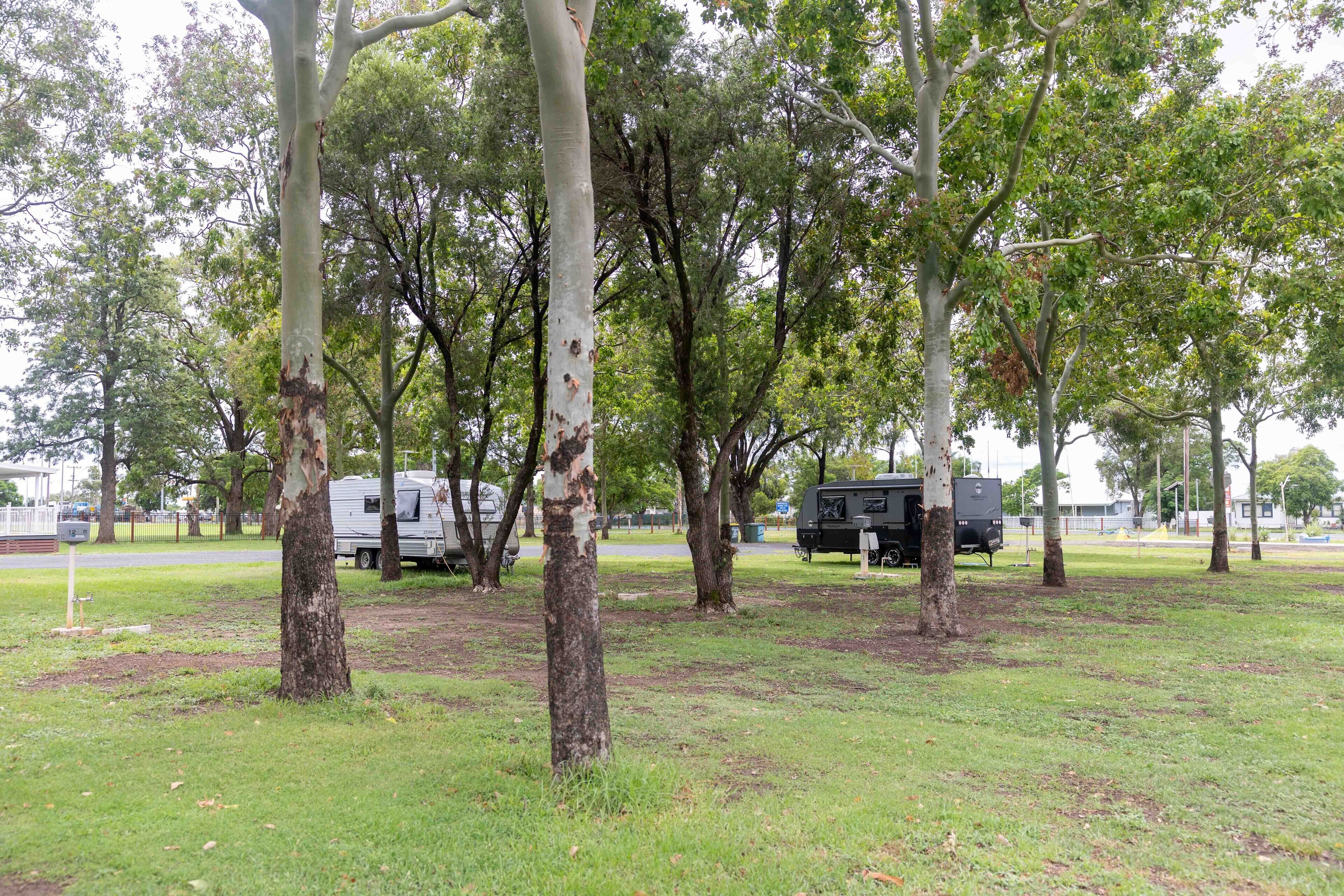 Un camping con árboles, césped y vehículos recreativos.