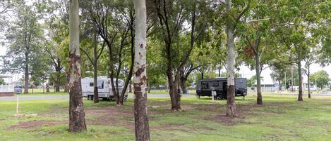 Un camping con árboles, césped y vehículos recreativos.