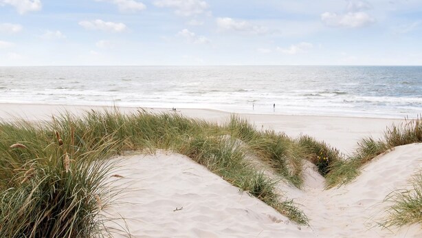 Een strand met duinen en de oceaan.