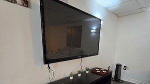 A modern living room with a large flat-screen TV mounted on a black console table. There are small potted plants on the table, and a speaker is visible in the corner. - Spacious, Pet Friendly Basement Apartment  (Milton)