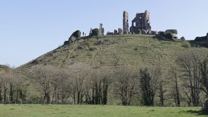 Une colline surmontée de ruines, entourée d’un champ herbeux et d’arbres.