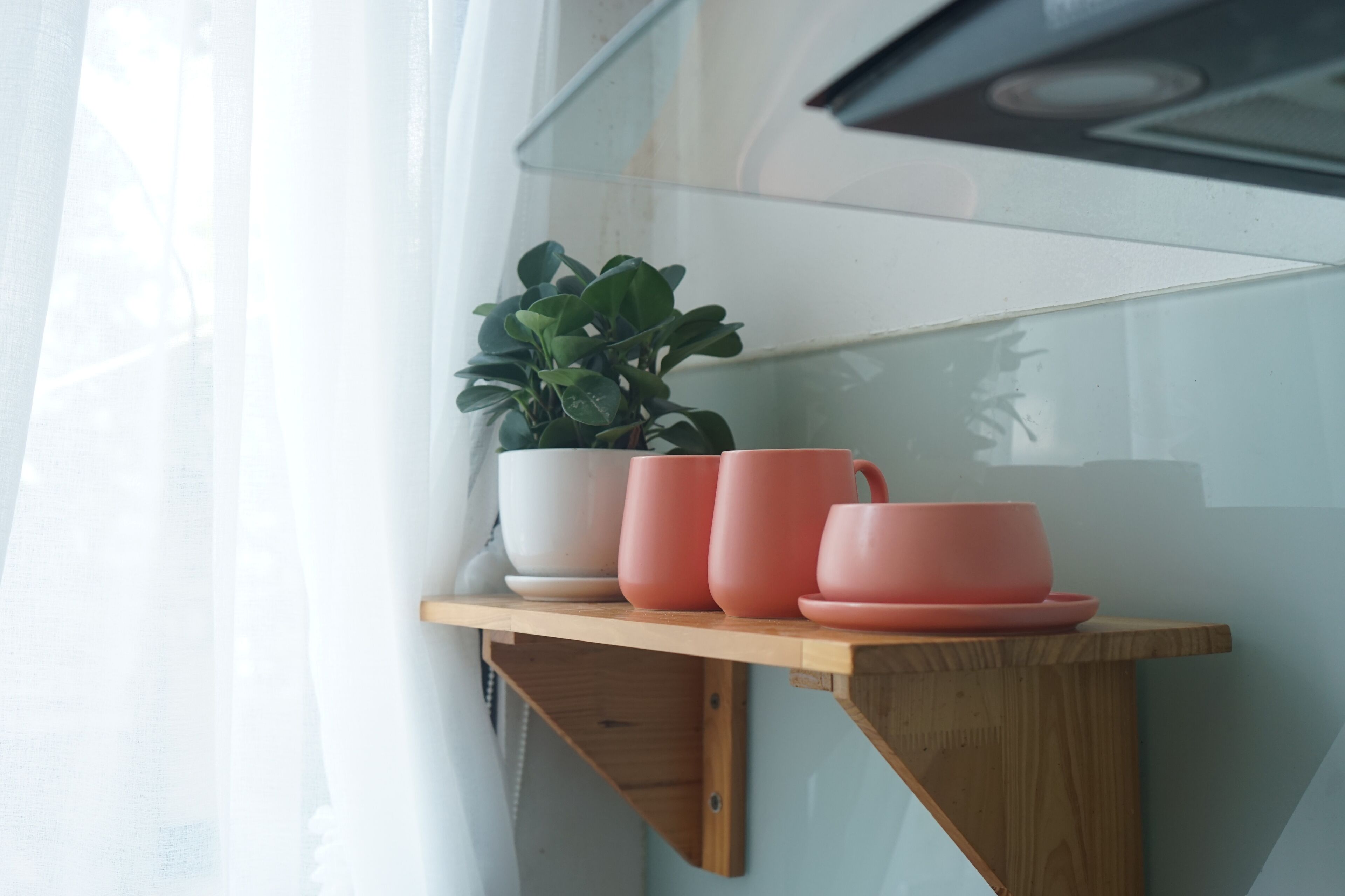A wooden shelf with a potted plant and pink cups.