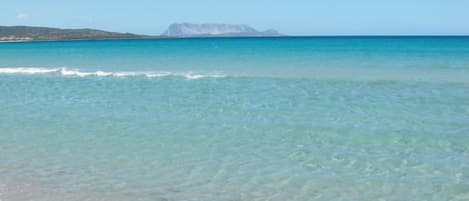 Ubicación cercana a la playa