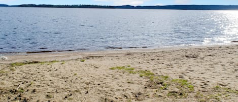 Una playa arenosa con un lago tranquilo y una orilla arbolada a lo lejos.