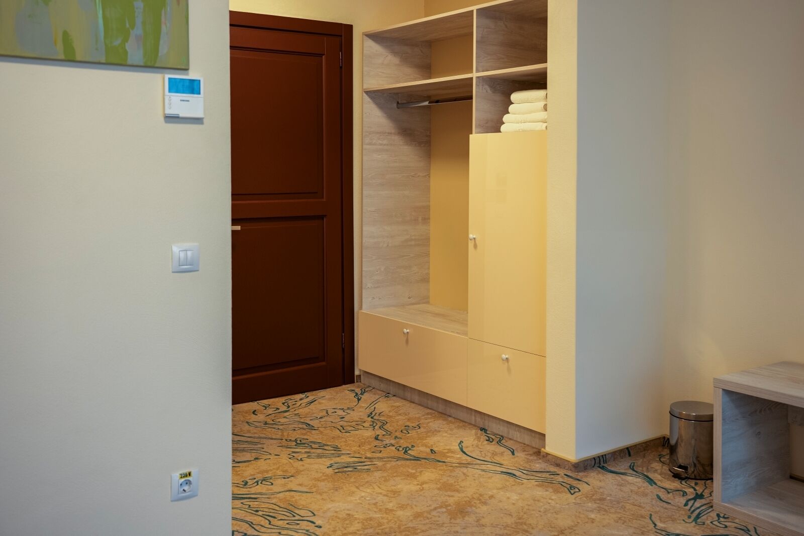 A hallway with a brown door, a wooden wardrobe with a mirror, and a patterned carpet.
