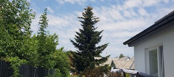 Studio and family apartments with a patio each. Continental breakfast served.