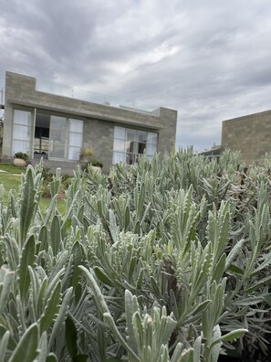 Garden - G Great Rift Villas (Naivasha)