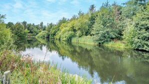 Un río tranquilo con abundante vegetación a ambos lados.