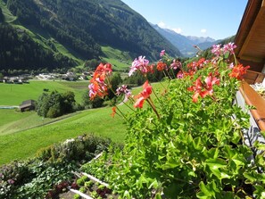 Property grounds - Apartment "Voppichlhof Alpenrose" with Mountain View, Shared Garden & Wi-Fi (San Giacomo Valle Aurina)