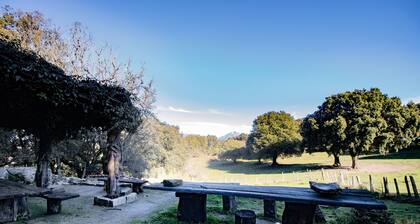 Holiday Home 'Ferme I Frassedi' with Private Garden and Wi-Fi