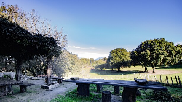 Un parc avec des tables de pique-nique, des bancs et des arbres.