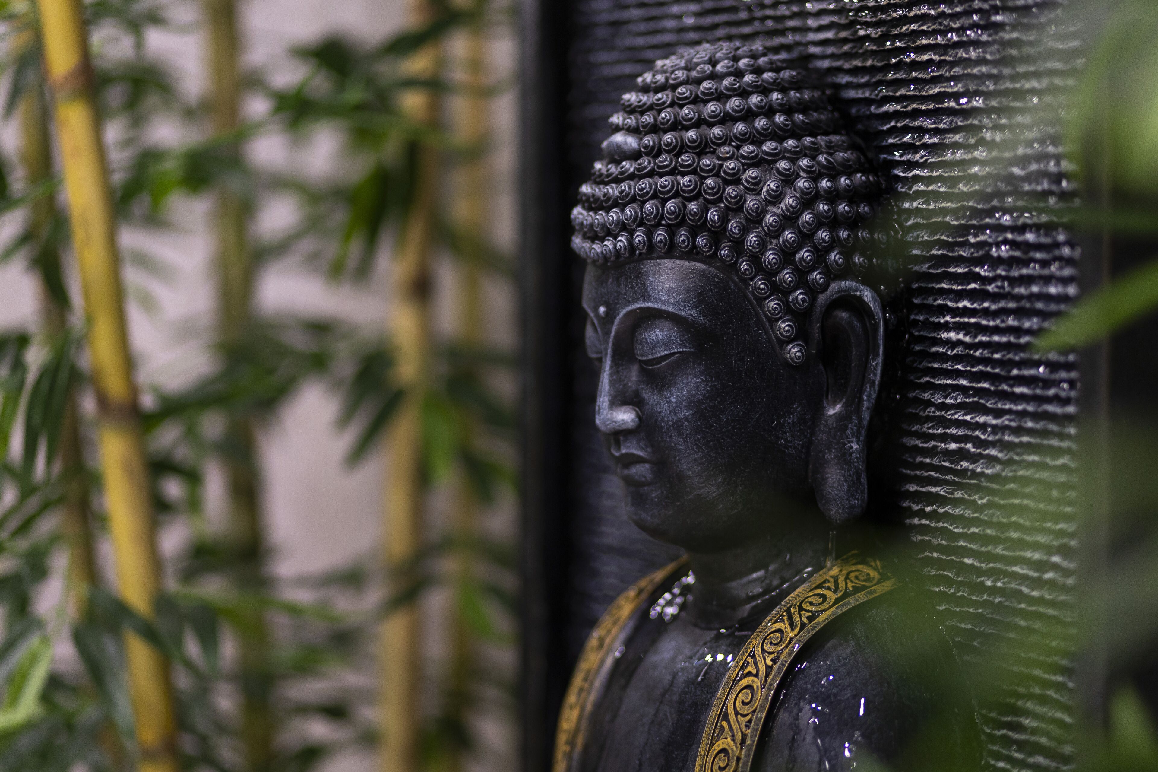 Foto - Destiny Hotel & SPA