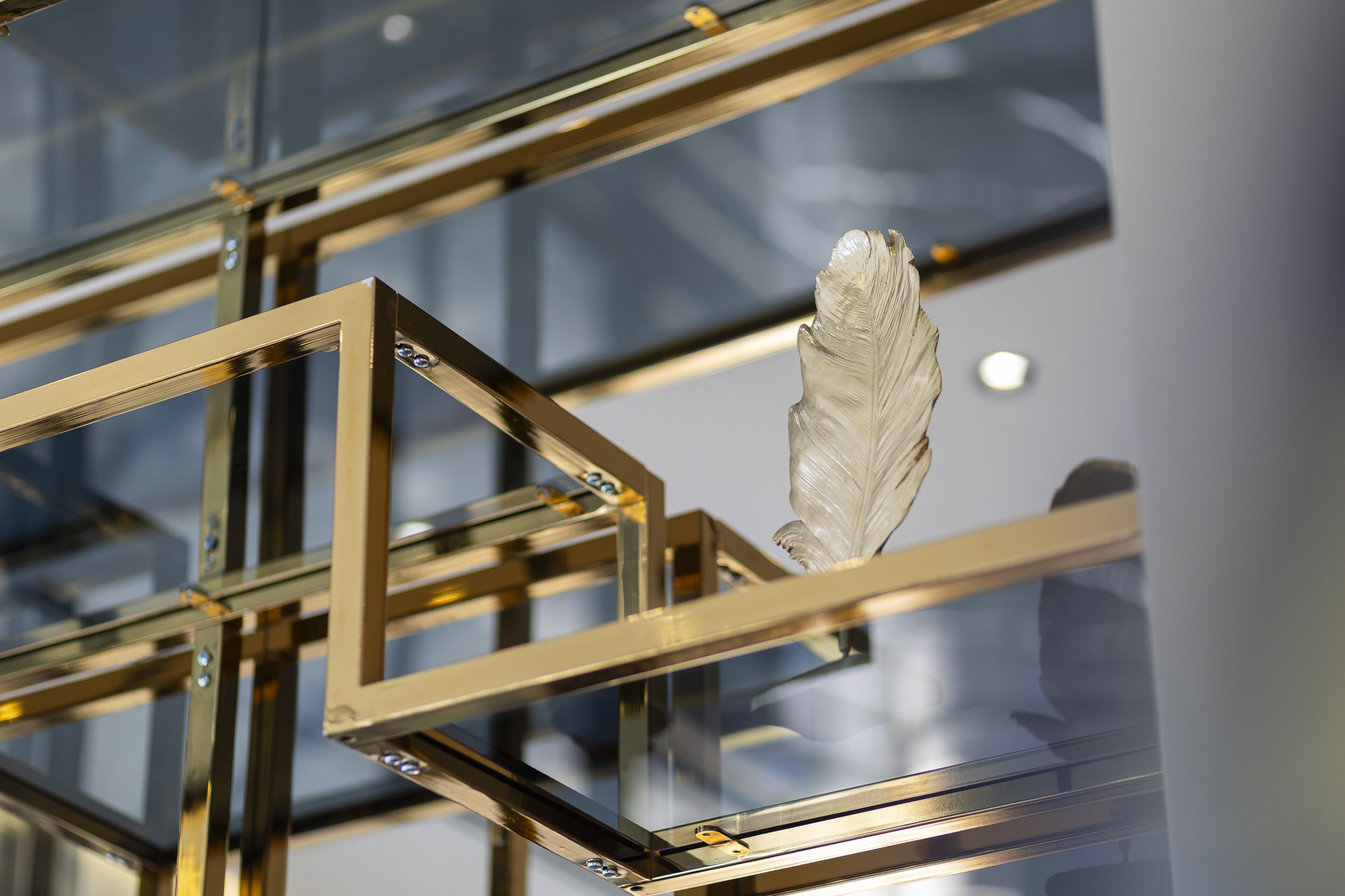Una vitrina de vidrio con marco dorado y una pluma en su interior.