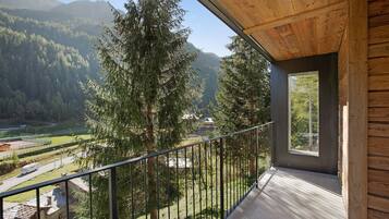 Ein Balkon mit Holzwertung, Blick auf ein bewaldetes Tal und ein Gebirge in der Ferne.