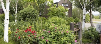 Benger Garden 1 by Tiny Away