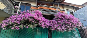 Rodin Hostel Bali Seminyak