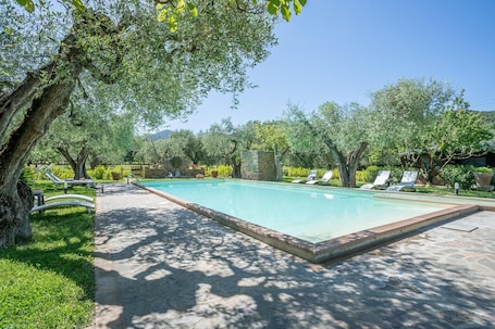 Seasonal outdoor pool, open 9:00 AM to 8:00 PM, sun loungers