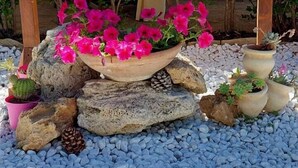 Een houten bord met de tekst 'Benidì Zen Comida', omringd door kleurrijke bloemen en stenen.
