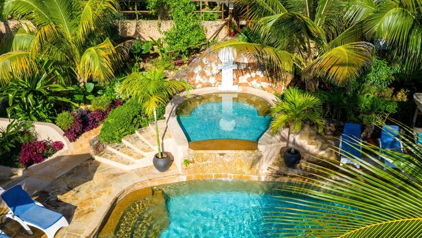 A pool surrounded by lush greenery and a waterfall, with lounge chairs and a stone pathway. - Natural Kendwa Villa (Kendwa)