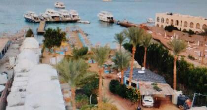 hurghada - hadaba st - Turkish air lines near Sheraton st