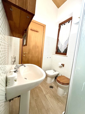 Shower, hair dryer, bidet, towels