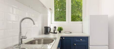 Fridge, oven, stovetop, coffee/tea maker