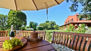 A wooden table with a bottle of wine, a glass, and a basket of grapes under a beige umbrella.