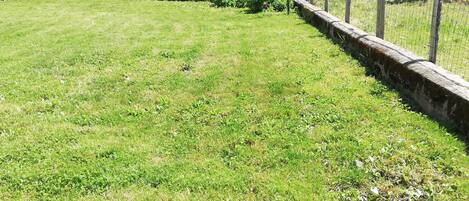 A grassy outdoor area with a stone wall and chain-link fence.