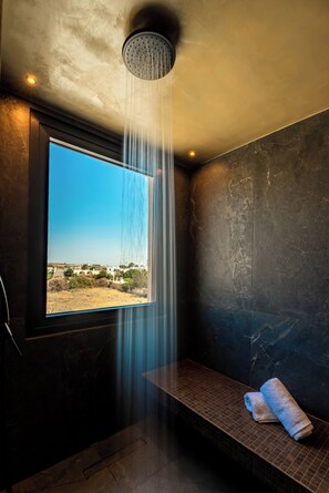 Shower, rainfall showerhead, hair dryer, towels