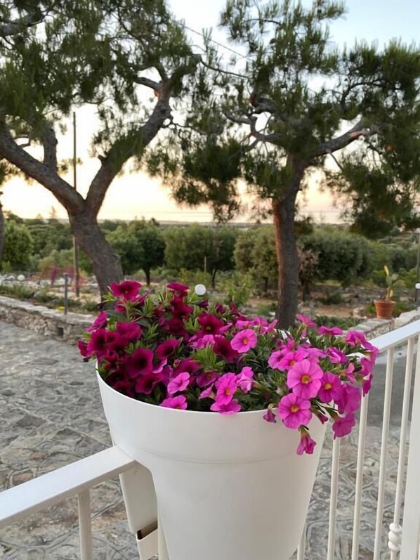 Exterior - Monte Simeone B&B (Polignano a Mare)