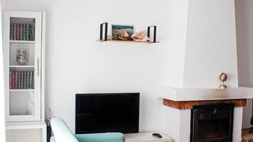 House | Living area | Fireplace