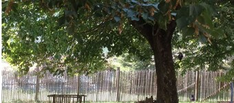 L'Eco-logis du Clos des Tilleuls