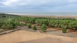 Paesaggio costiero con spiaggia sabbiosa, fitti pini verdi e un mare calmo sotto un cielo nuvoloso.